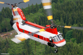 Travaux par hélicoptère logging travail en forêt hélicoptère hélidébardage