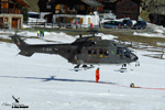 AS 332 M1 Super Puma T342