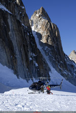 Ecureuil en dpose hliski glacier Trient