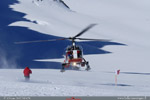 LAMA Air Glacier pos sur le glacier du Trient