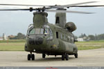 Chinook