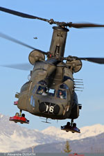 Chinook Espagnol au dcollage