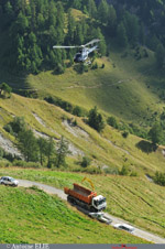 Ecureuil au levage au dessus du camion