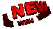 VIDEO 00